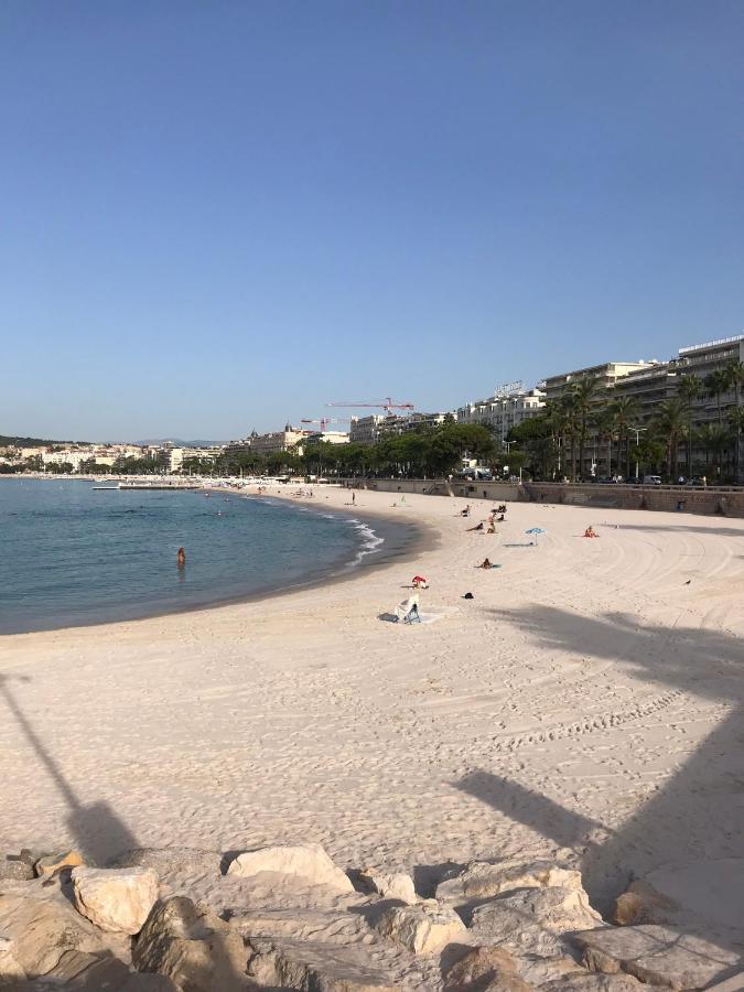 Tres Beau T2 Dans Parc Montfleury ,Proche Centre ,Au Calme 44 Bd Montfleury Lejlighed Cannes Eksteriør billede