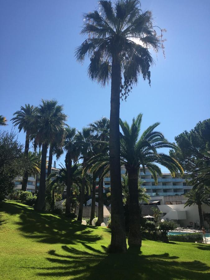Tres Beau T2 Dans Parc Montfleury ,Proche Centre ,Au Calme 44 Bd Montfleury Lejlighed Cannes Eksteriør billede
