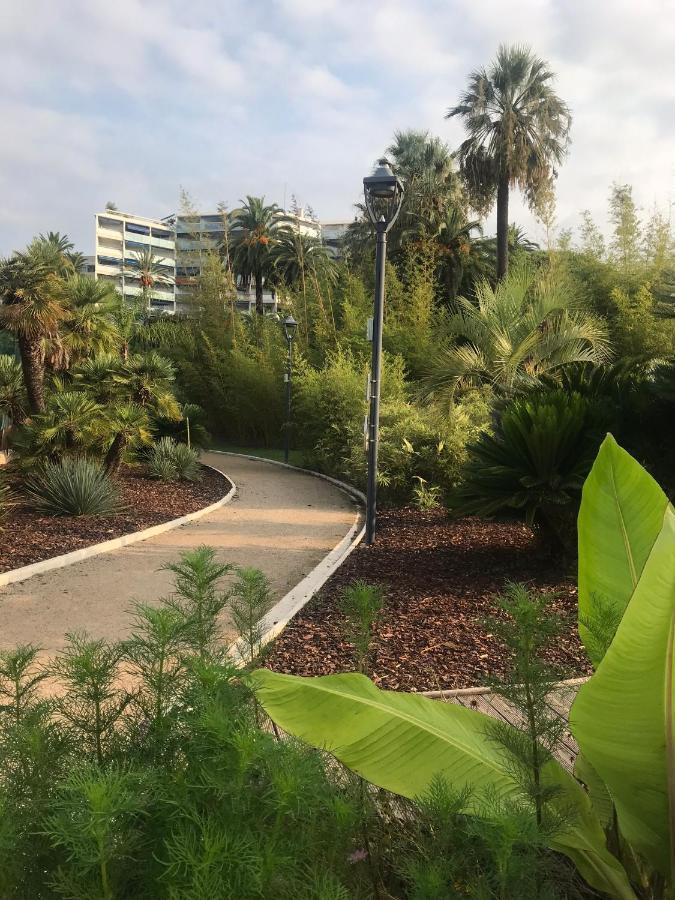 Tres Beau T2 Dans Parc Montfleury ,Proche Centre ,Au Calme 44 Bd Montfleury Lejlighed Cannes Eksteriør billede